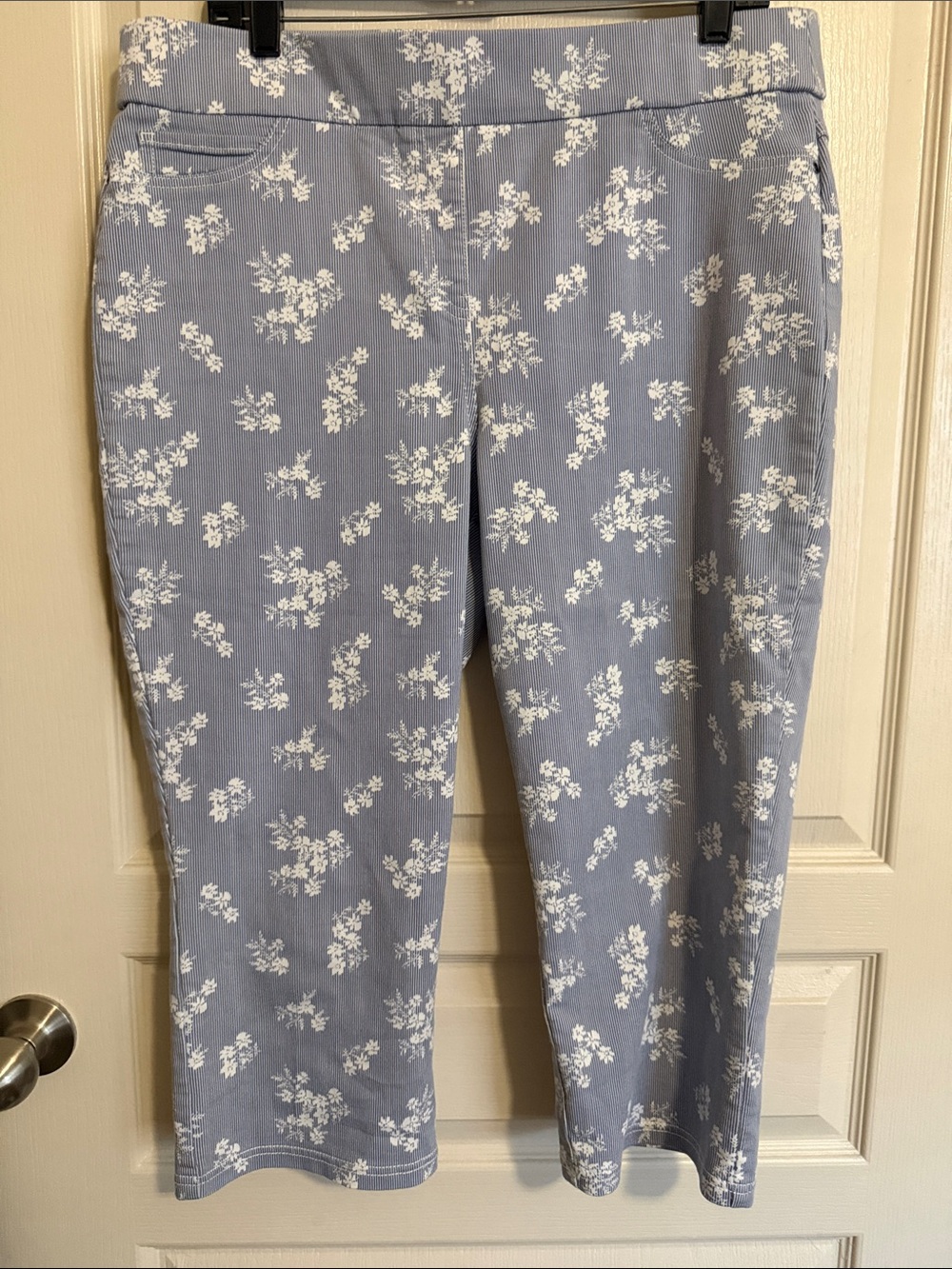 Blue & White Floral Pin-Striped Stretch Pull-On Cropped Pants Sz 14